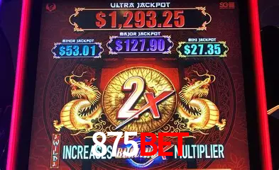 A Experiência Imersiva dos Cassinos Ao Vivo no 875bet